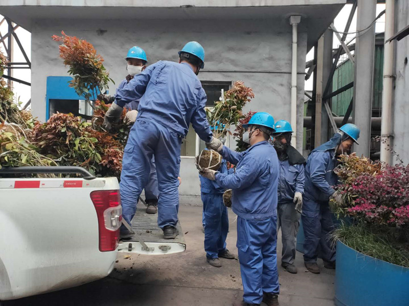 1586834605188537.jpg 圖1_副本.jpg