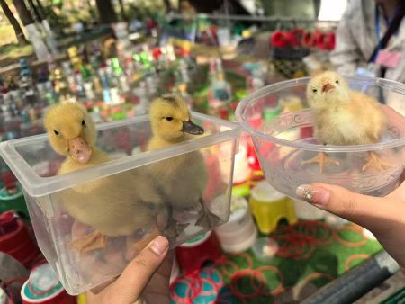 微信圖片_20250410102331 微信圖片_20250410102331