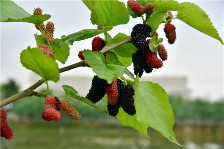 微信圖片_20250616161733 微信圖片_20250616161733