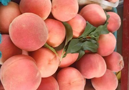 581b9959c950771ecbffde003f53823 581b9959c950771ecbffde003f53823