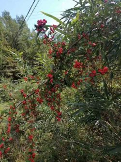 微信圖片_20251020161351