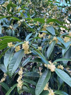 微信圖片_20251020161035 微信圖片_20251020161035